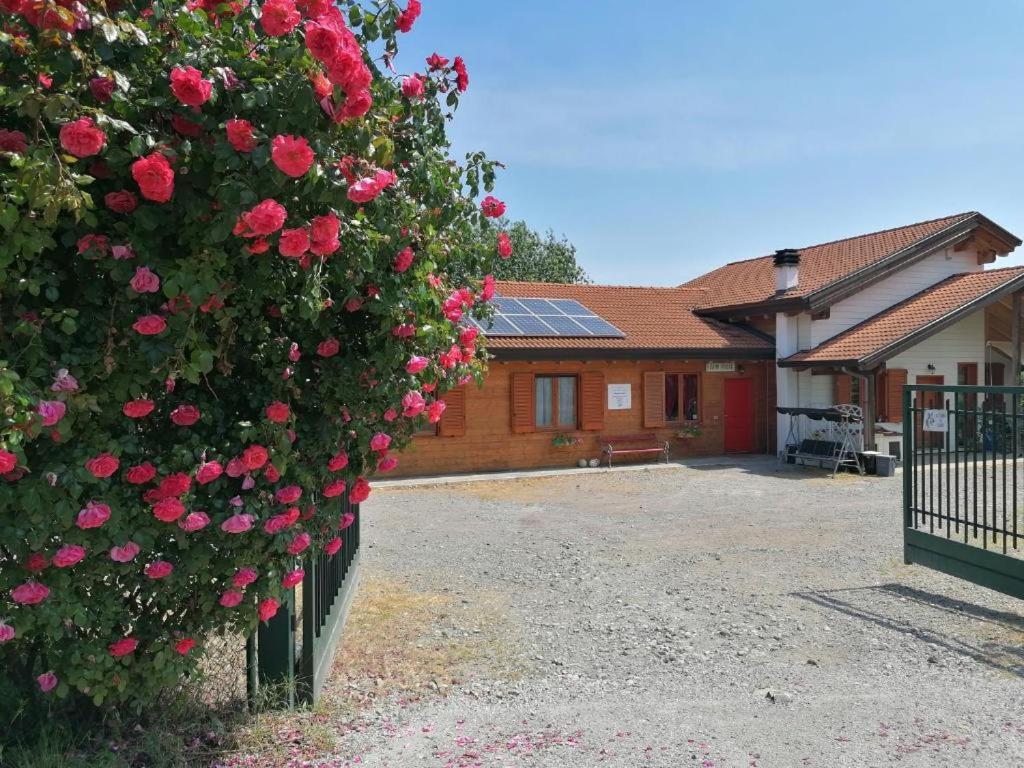 Agriturismo Bio Apipoli Montano Lucino Exterior photo